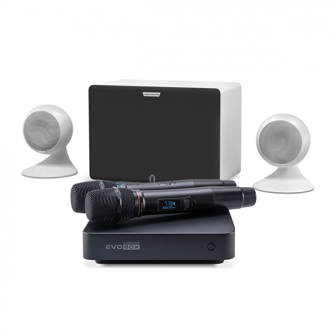 караоке-комплект EVOBOX Classic + EvoSound Sphere 2.1 в Солнечногорске