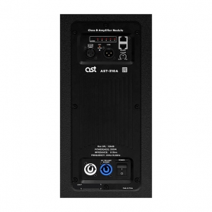 Активная акустическая система AST-310A в Солнечногорске