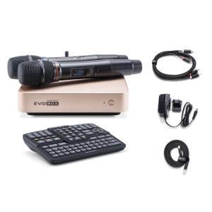 EVOBOX Classic караоке-система для дома в Солнечногорске