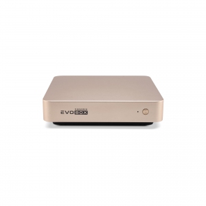 EVOBOX с микрофонами в Солнечногорске